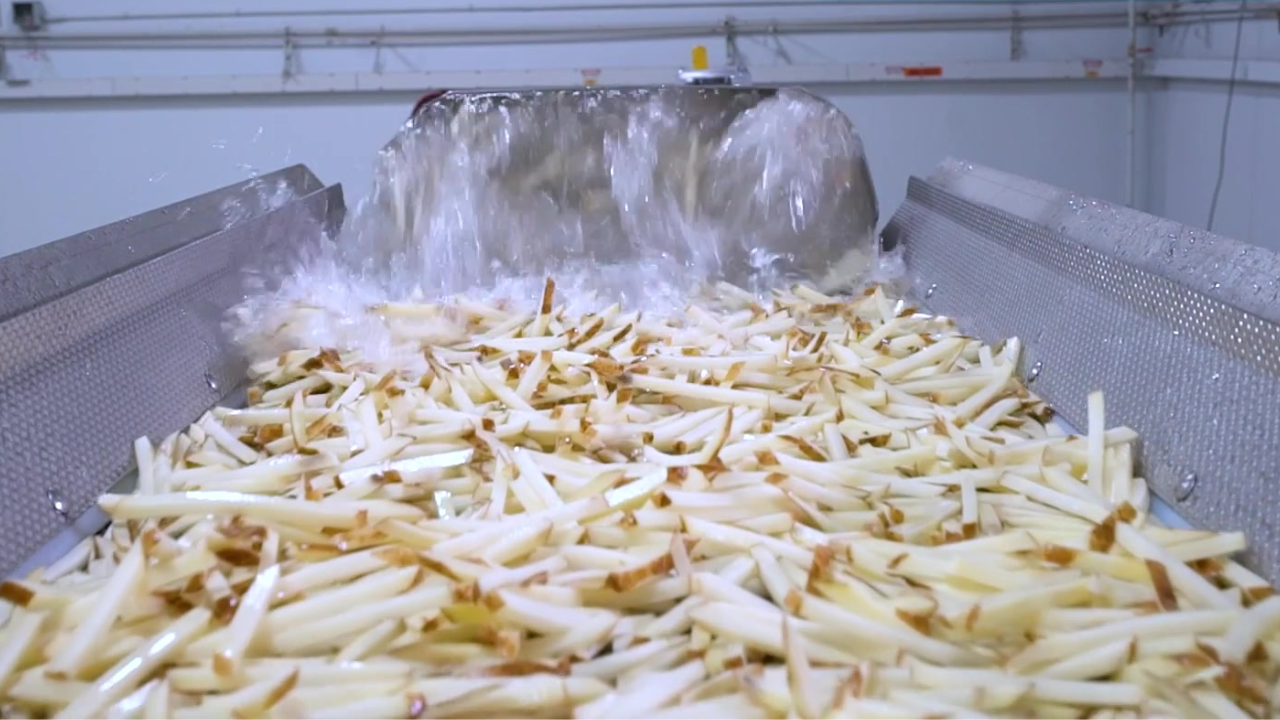 French fries cut on a Vanmark Compact Hydrocutter System